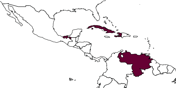 map of Encarsia haitiensis     Dozier, 1932